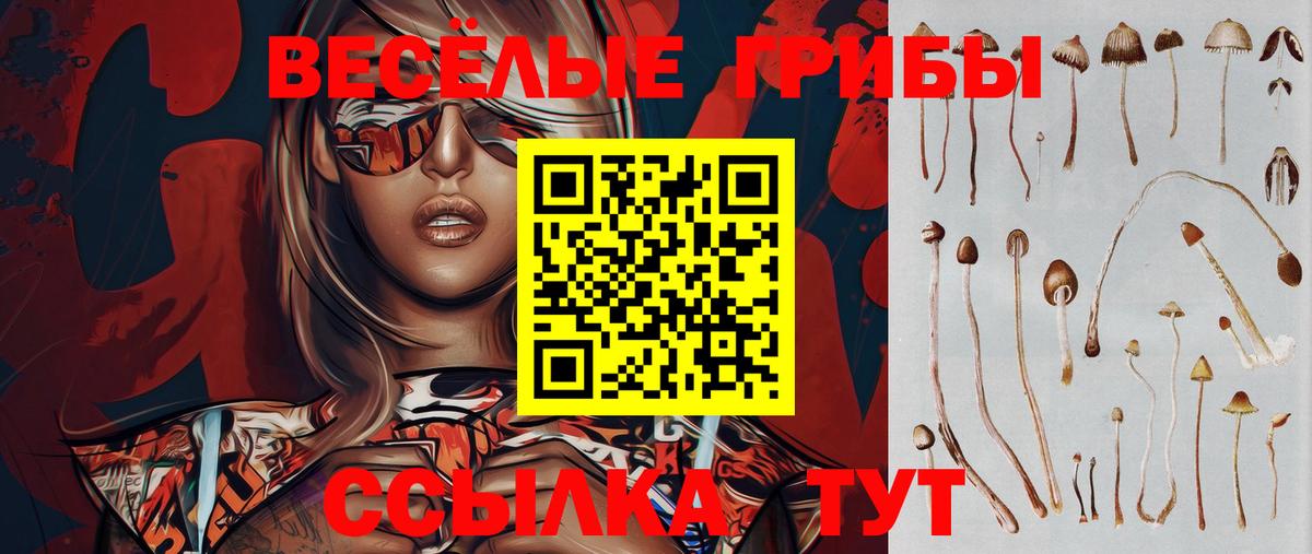Псилоцибиновые грибы прущие грибы  Вход с VPN  Псилоцибиновые грибы Psilocybine cubensis  Шебекино 