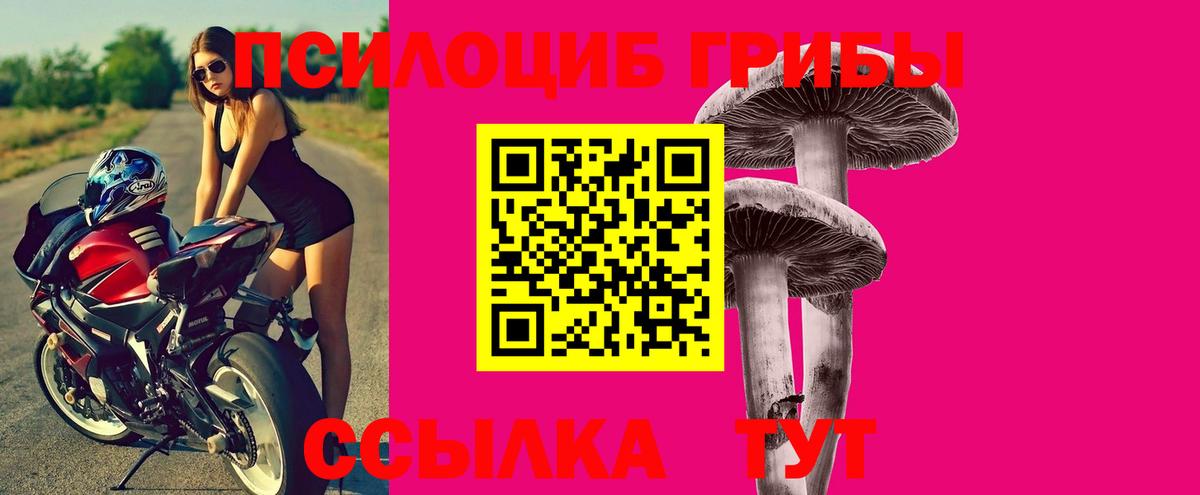 Галлюциногенные грибы MAGIC MUSHROOMS Шебекино